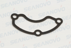Прокладка крышки F4-01.06.06