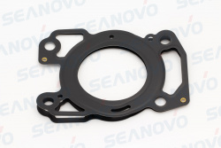 Прокладка головки F2.5-01.03.01.00