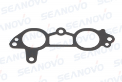 Прокладка, впускной коллектор F25-01.03.00.14