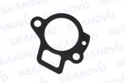 Прокладка термостата F15-01.01.00.11