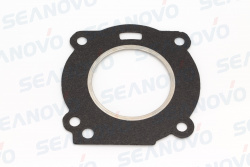 Прокладка головки 3.5F-01.01.06