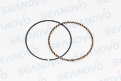 Маслосъемное кольцо F15-01.02.02.05