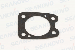 Прокладка корпуса помпы F4-06.18