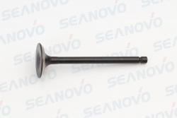 Выпускной клапан F25-01.05.00.12 69W-12111-00