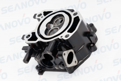 Головка цилиндра F2.5-01.03.00.06