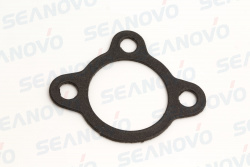 Прокладка термостата F9.9-01.01.00.01