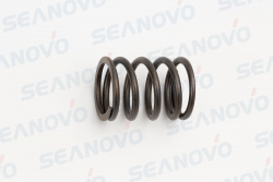 Пружина клапана F9.9-01.03.00.20