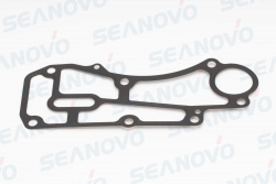 Прокладка F15-01.01.00.09