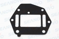 Прокладка лепескового клапана (вход) 9.8F-01.02.02