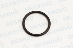 Резиновое кольцо сидения помпы 20F-06.00.00.09