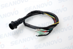 Жгут проводов 10 pin F20E-01.00.06.00 в сборе с проводами CDI F20E-01.00.02.00