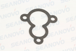 Прокладка термостата F4-01.06.28