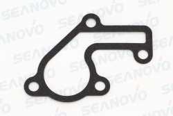 Прокладка крышки термостата 15F-01.06.15