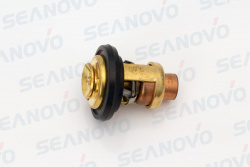 Термостат 60℃ F15-01.06.14-60°