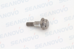 Винт F2.5-01.06.00.17