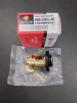 Термостат 60 градусов 6G8-12411-00